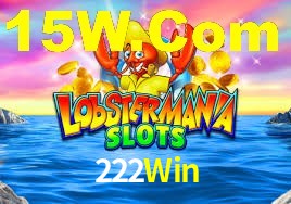 222Win App Interface